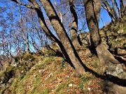 Monte Zucco (1232 m) ad anello in solitaria sui sentieri di casa (Zogno-300 m) 18nov闂????20 - FOTOGALLERY